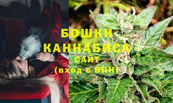 ALPHA PVP Краснослободск