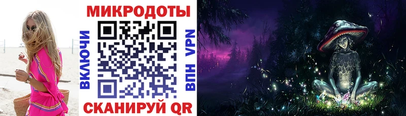 Купить  Бологое  Псилоцибиновые грибы Cubensis 